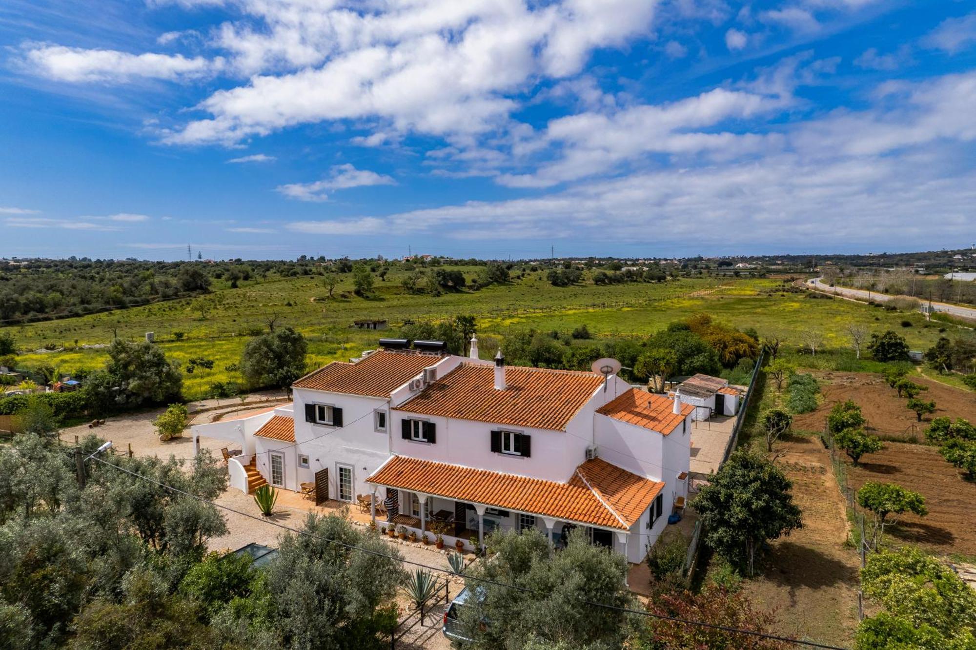 Casa Jardim Oasis Bed & Breakfast Carvoeiro  Exterior photo